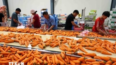 Vietnam-Singapore two-way trade turnover increased by more than 27%