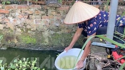 ការ​ចុះ​ត្រួត​ពិនិត្យ​ក្រុមហ៊ុន វៀត ឌឹក ភ្ញាក់ផ្អើល