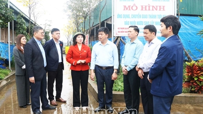 Đoàn giám sát của HĐND tỉnh giám sát chuyên đề tại các huyện Kim Động, Phù Cừ và thành phố Hưng Yên