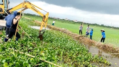 Chung tay bảo tồn và phục hồi các dòng sông