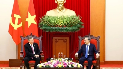 Vietnam - US relations are a model in international relations