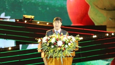 Dak Lak won first prize in the 2025 Farmers' Competition