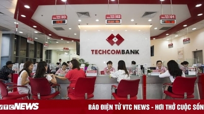 Vingroup, Techcombank góp vốn lập công ty bảo hiểm nhân thọ