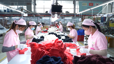 Xuất khẩu Long An tăng trưởng mạnh trong tháng 02/2025