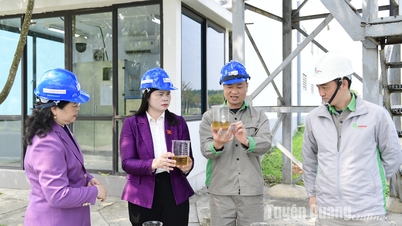 Die Delegation der Nationalversammlung der Provinz beaufsichtigte die An Hoa Paper Joint Stock Company, das Phuong Bac General Hospital, die Tuyen Quang Dairy Farm und das Tuyen Quang Lung Hospital.