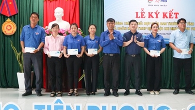 Tỉnh đoàn Ninh Thuận: Ký kết hợp tác thanh toán điện tử năm 2025 với ngân hàng Quân đội chi nhánh Ninh Thuận