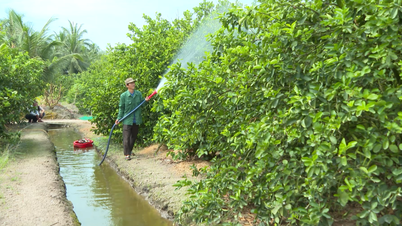 Long An ứng phó xâm nhập mặn gia tăng trong mùa khô