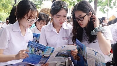Zulassung zur Fremdsprachenuniversität: Umrechnung von 7,0 auf 10 Punkte mit IELTS