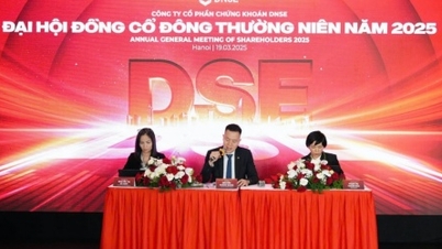 កិច្ចប្រជុំម្ចាស់ភាគហ៊ុន DNSE៖ ជំរុញនិស្សន្ទវត្ថុ បង្កើនគោលដៅចំណូលដល់ 1,507 ពាន់លានដុង