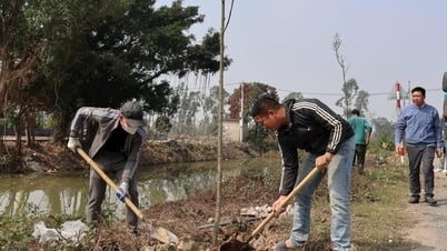 Bình Giang sớm hoàn thành trồng cây mùa xuân