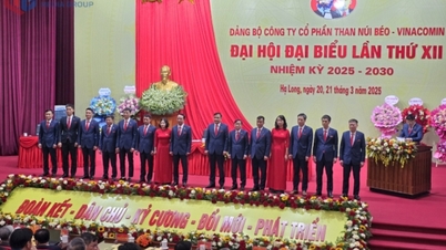 12th Congress of Party Delegates of Nui Beo Coal Joint Stock Company