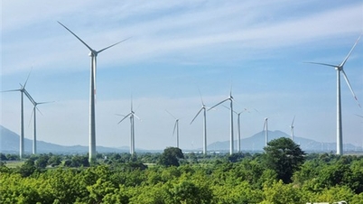 Energy promotes economic growth, increases budget revenue