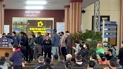 People rush to complete land records before information about merging communes and abolishing district level