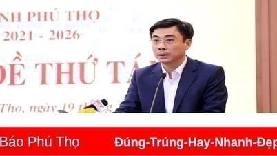 Sự cần thiết và tác động của việc điều chỉnh, bổ sung quy định về giá các loại đất trên địa bàn tỉnh