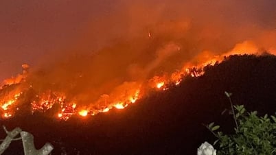 Hundreds of people stayed up all night to control the forest fire in Tuyen Quang