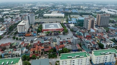 地区レベルの廃止：コミューンレベルの人民委員会の下に専門部署を設立する提案