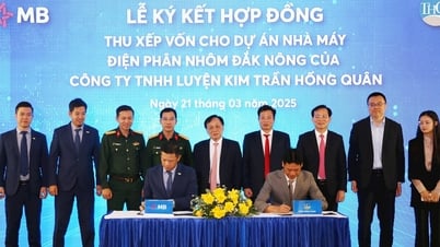 MB Bank allocates 12,500 billion VND for Dak Nong Aluminum Electrolysis Project