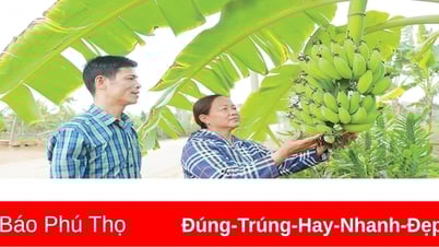 Espíritu de emulación patriótica entre los agricultores