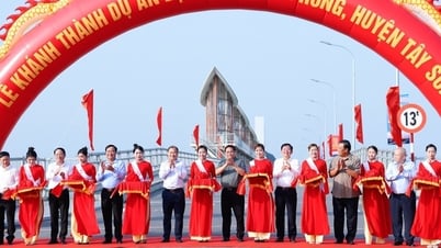 Prime Minister visits and attends the inauguration of several key projects in Binh Dinh