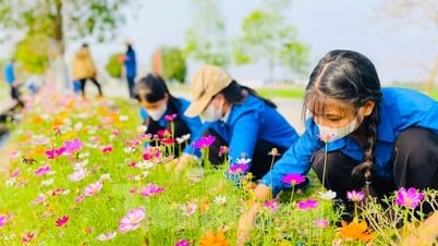 Tuổi trẻ Nghệ An với những phần việc ý nghĩa trị giá hàng tỉ đồng