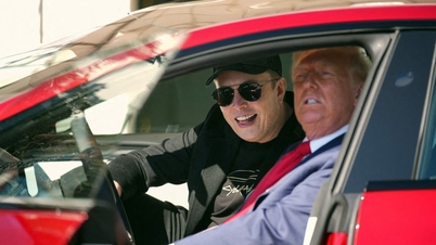 Elon Musk: 'ឈប់ដុតឡាន Tesla ឈប់ឆ្កួតទៅ'