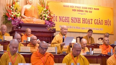 Tinh gọn bộ máy Giáo hội Phật giáo Việt Nam