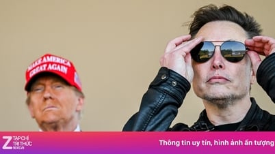 Elon Musk: 'Tôi không có quyền lực chính trị'
