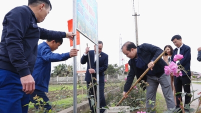 The first district in Hai Duong completes criteria for quality of living environment