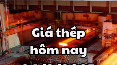 តម្លៃដែកថ្ងៃនេះ 3/24/2025 មានការប្រែប្រួលបន្តិចបន្តួច