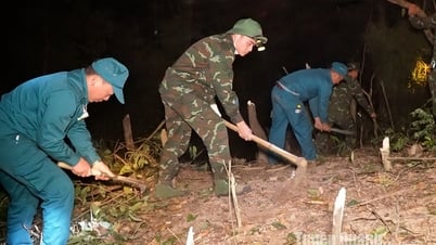 UBND tỉnh Tuyên Quang chỉ đạo tăng cường công tác quản lý, bảo vệ rừng; phòng cháy, chữa cháy rừng
