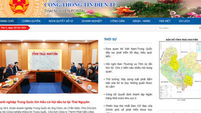 Bộ Tài chính và Thái Nguyên dẫn đầu về lượt truy cập cổng thông tin điện tử năm 2024