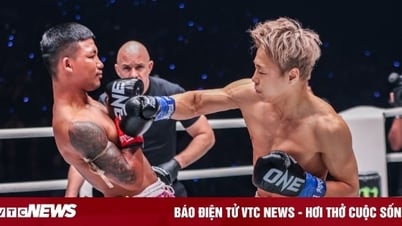 'Iron Man' Rodtang knocks out Japanese kickboxing master
