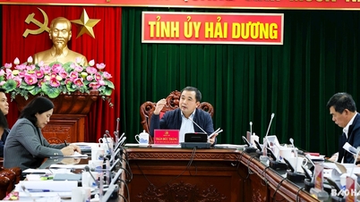 Develop a project to merge communes and report to the Standing Committee of Hai Duong Provincial Party Committee before April 30, 2025.