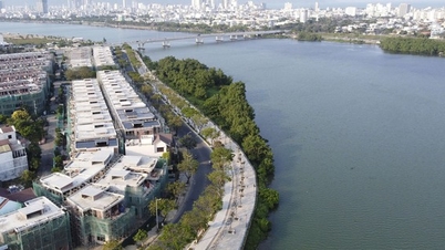 Da Nang puts into use the project to renovate the landscape of the riverside sidewalk on Thang Long Street