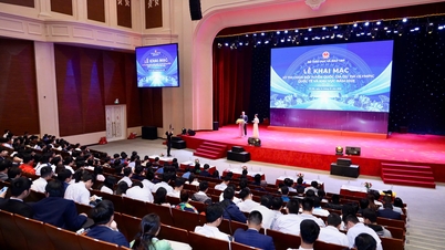 Khai mạc Kỳ thi chọn đội tuyển dự thi Olympic quốc tế và khu vực 2025