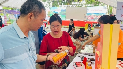 Bắc Kạn xúc tiến thương mại – đưa nông sản, OCOP vươn xa
