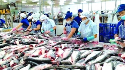 Thủy sản vượt khó về đích xuất khẩu 10 tỷ USD