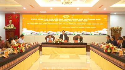 Removing difficulties, creating motivation for Gia Lai to develop