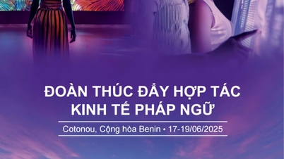 Mời doanh nghiệp đăng ký tham gia Đoàn thúc đẩy hợp tác kinh tế Pháp ngữ