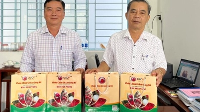 LONG HỒ: 38 sản phẩm đạt chứng nhận OCOP