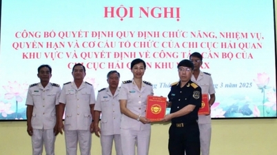 La Sucursal de Aduanas de la Región XX tiene su sede en Dong Thap.