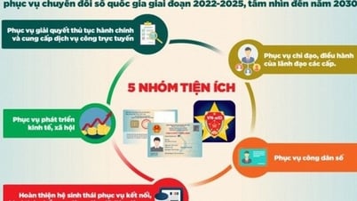 Continue to promote the implementation of the Project on developing applications of population data, identification and electronic authentication to serve national digital transformation.