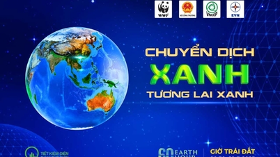 Responding to Earth Hour Campaign 2025: The whole country saved 448,000 kWh after 1 hour of turning off the lights