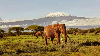 Top 10 most attractive tourist destinations in Kenya for visitors to explore