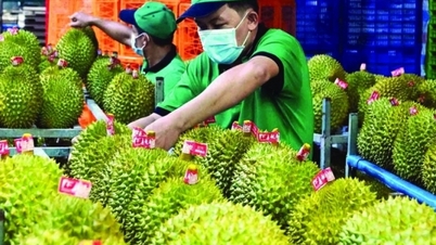 Xuất khẩu rau quả hướng đến mục tiêu 10 tỷ USD