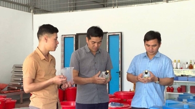 Lai Châu: Nâng cao giá trị sản phẩm OCOP tại huyện Nậm Nhùn