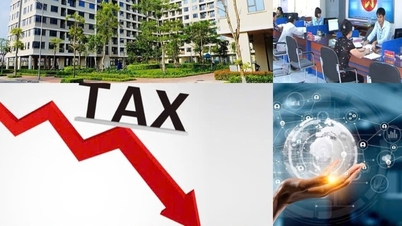 Nhiệm vụ, giải pháp trọng tâm về cắt giảm thủ tục hành chính, cải thiện môi trường kinh doanh, thúc đẩy phát triển kinh tế - xã hội