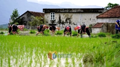 困難な地域の人々の生産を支える灌漑インフラへの投資