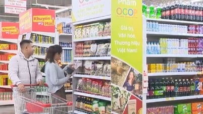 Sản phẩm OCOP tiêu thụ chưa tương xứng số lượng