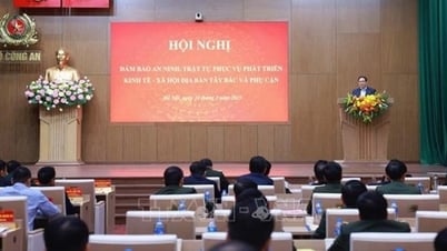 News of activities of the Culture, Sports and Tourism sector on March 25, 2025